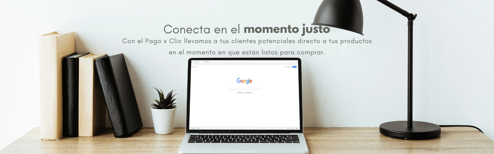 Test Pagina Web